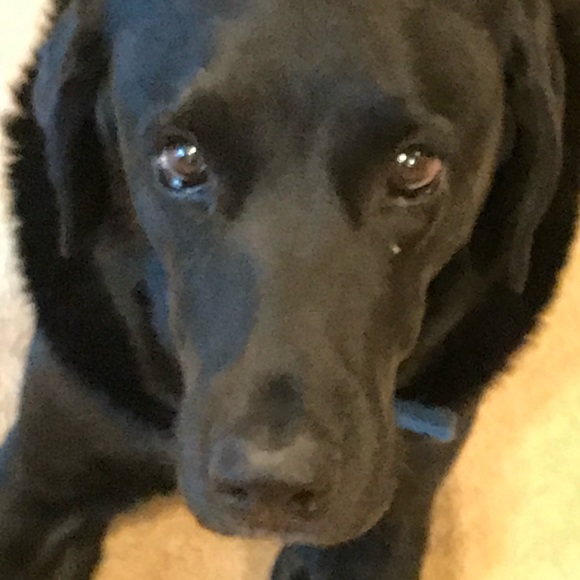 MAKE ME AN OFFER, ALL REASONABLE OFFERS ACCEPTED - Picture 4 of 6